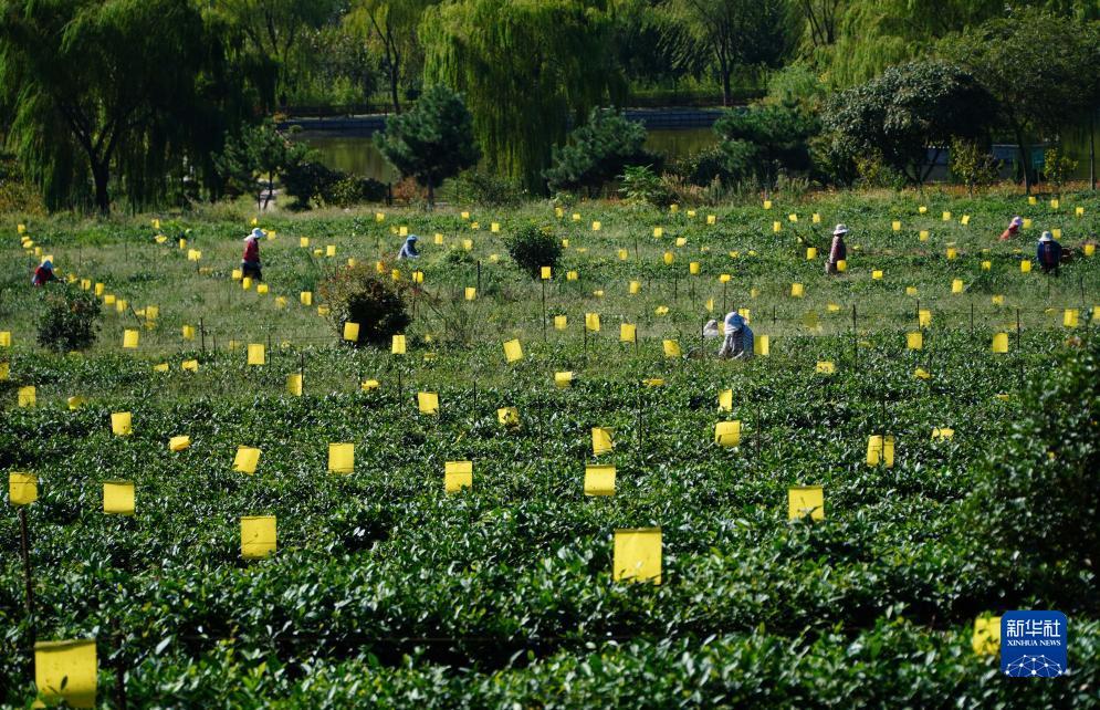 冰球突破怎么玩容易赢